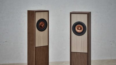 Sveltae wideband driver with point source imaging and spacious airy ambience