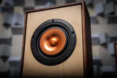 Close-up of the Momentae full-range driver set in its hardwood-framed baffle